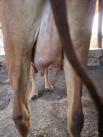 थंबनेल 4