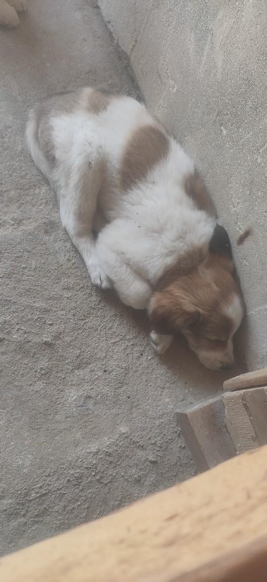 થંબનેલ 3