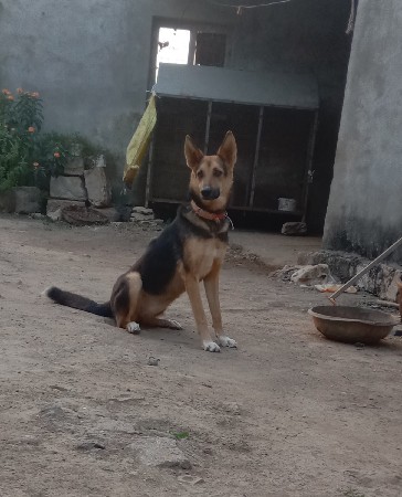 થંબનેલ 3