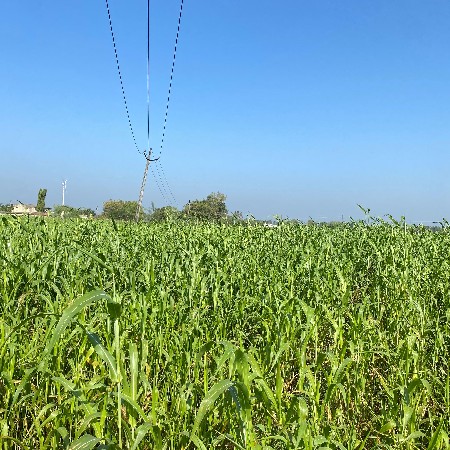 થંબનેલ 3