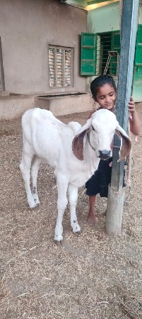 1 મહિના ની છે