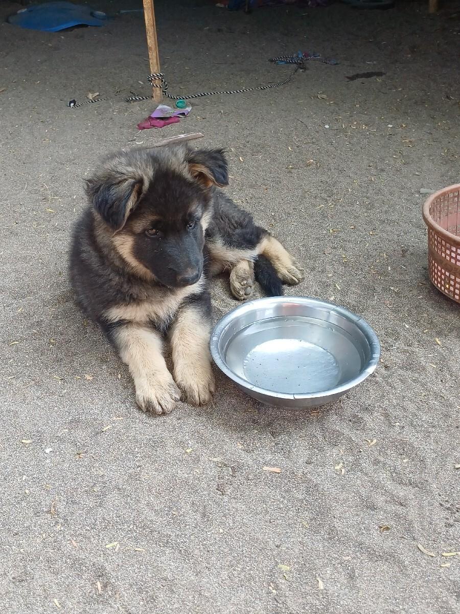 થંબનેલ 3