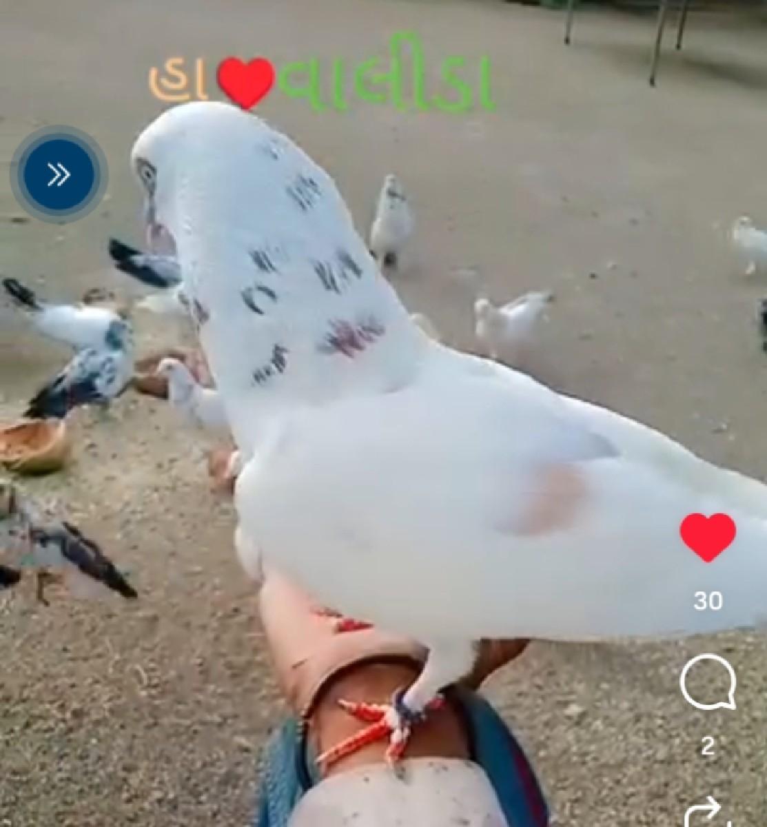 थंबनेल 2