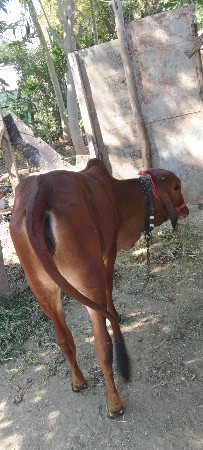 थंबनेल 1