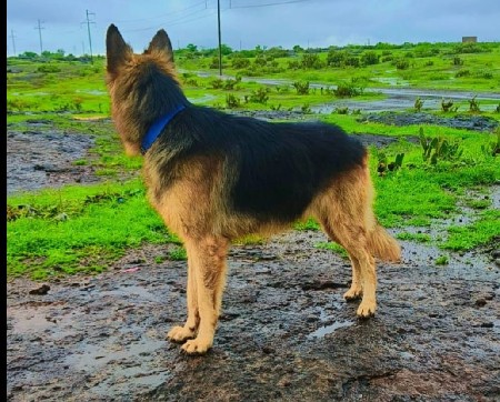 થંબનેલ 2