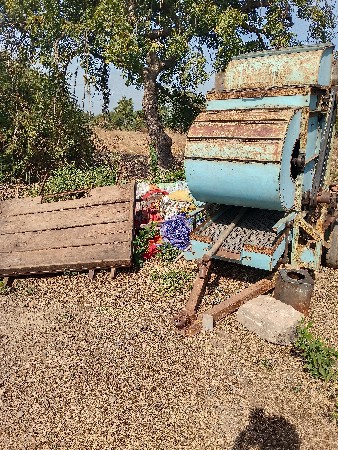 थंबनेल 2