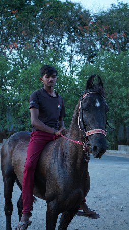 થંબનેલ 2