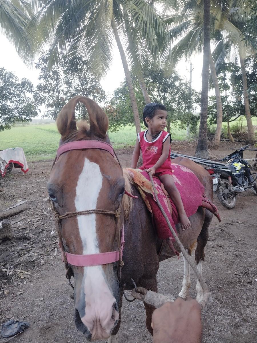 કોળી વેચવાની છે એક હાથમાં કેરી છે