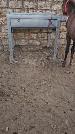 ઘોડા વ માટે જારી વાળી ગમાણ