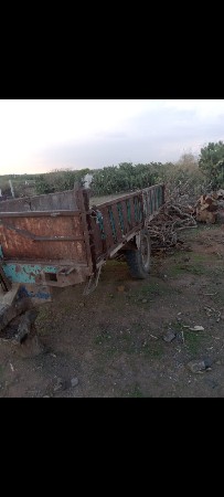 थंबनेल 2