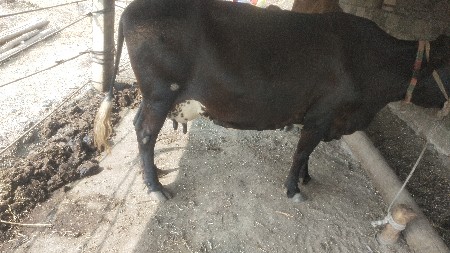 थंबनेल 1