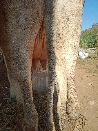 થંબનેલ 2