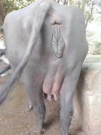 थंबनेल 3