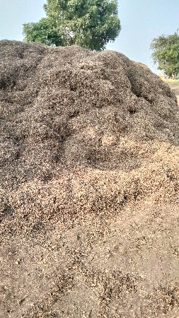 ભૂકોપાલોવેચીદેવાનોછે