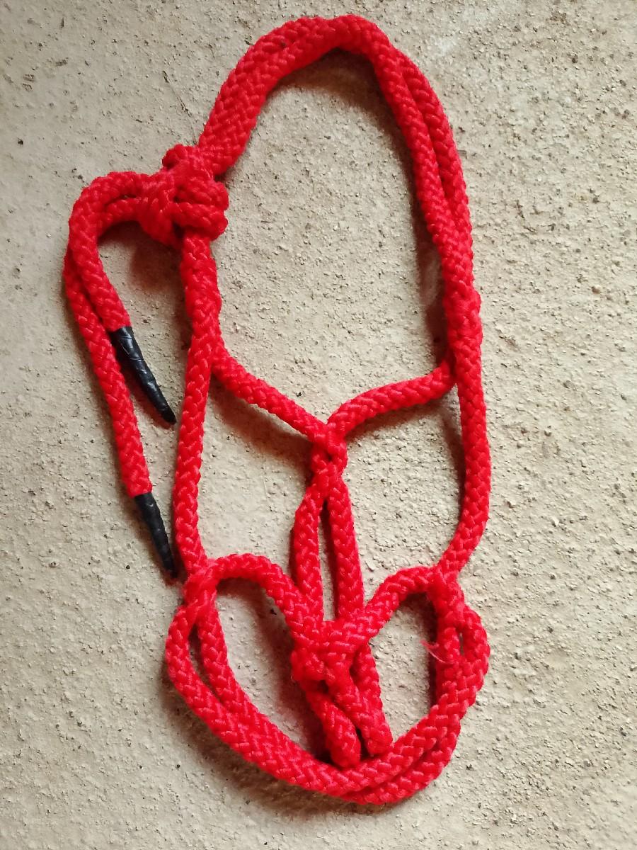 ગાઠવીનાના  મોયડા