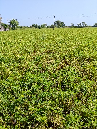 थंबनेल 3