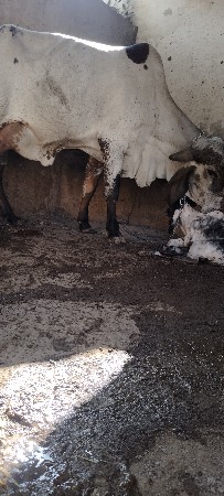 થંબનેલ 3