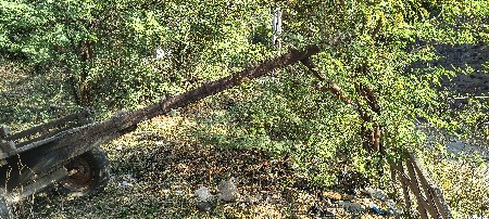 थंबनेल 3