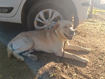 થંબનેલ 3