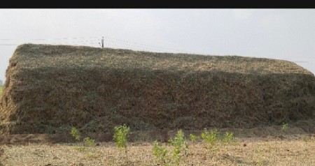 માંડવીનો પાલો વેચવાનો છે