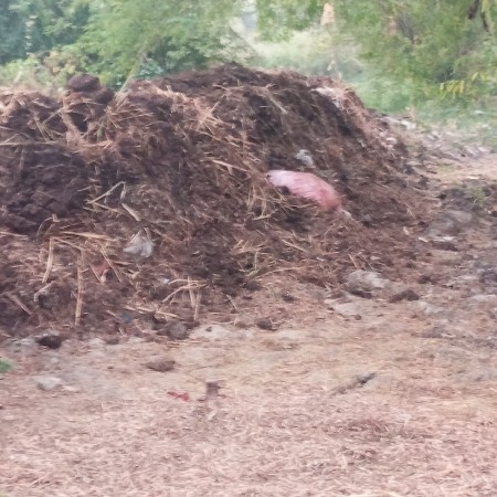 ખાતર વેછવાનુસે