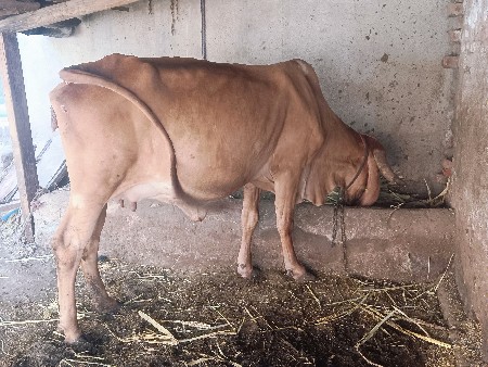 थंबनेल 2