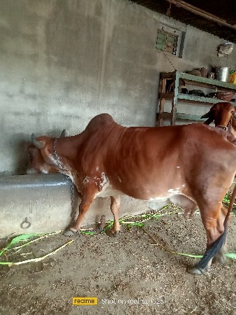 थंबनेल 2