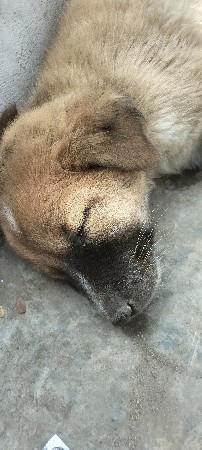 थंबनेल 2