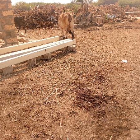 જીલ્લો પોરબંદર