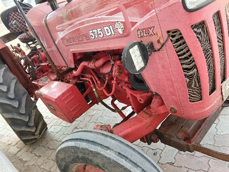 થંબનેલ 3