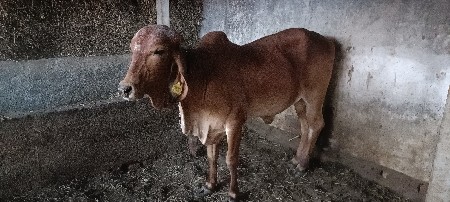 थंबनेल 2