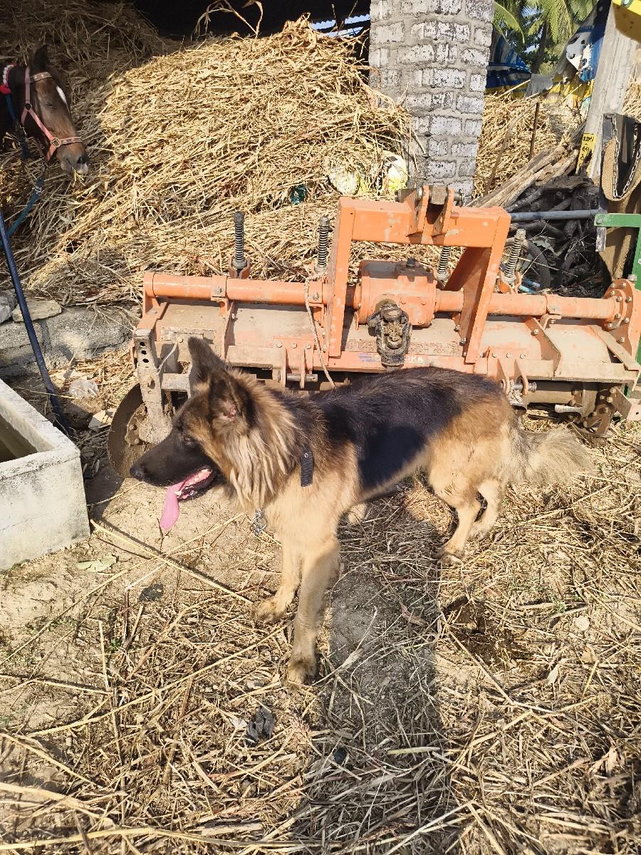 થંબનેલ 2