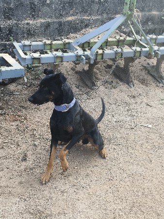 थंबनेल 2