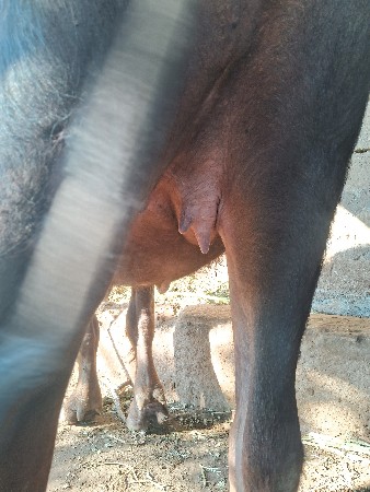 9 mo મહીનો છે