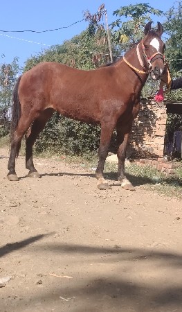 थंबनेल 2