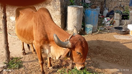 थंबनेल 3