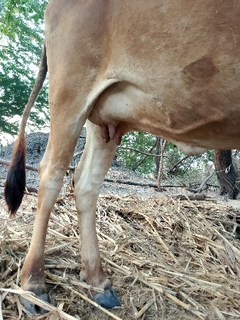 થંબનેલ 3