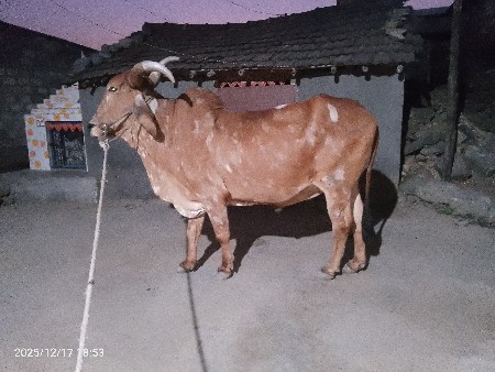 24,000 માં 1000 ઓછા