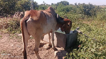 થંબનેલ 3