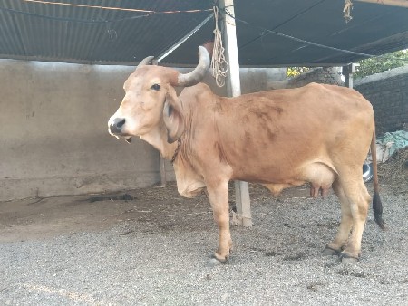 थंबनेल 2