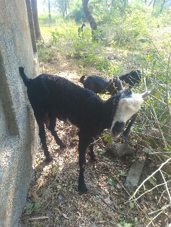 થંબનેલ 2