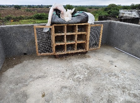 આ નવ ખાના ની પેટી છે પુરે પુરી જવાબ