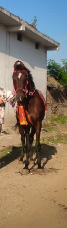 થંબનેલ 2