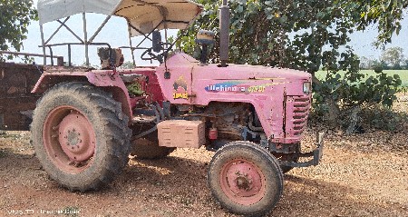 થંબનેલ 2