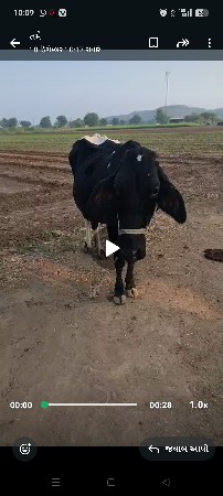 વિહાની 1મહિનો 15દિવસ થયા સે