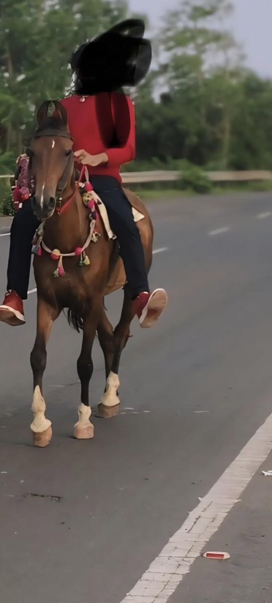 aa ghodi koy bhai na