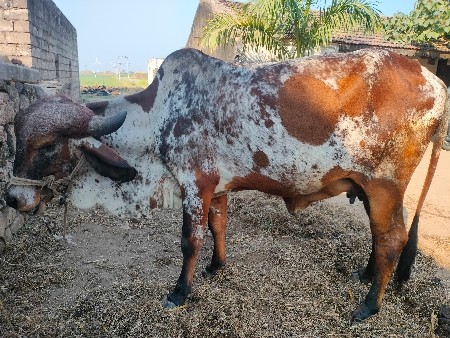 थंबनेल 3