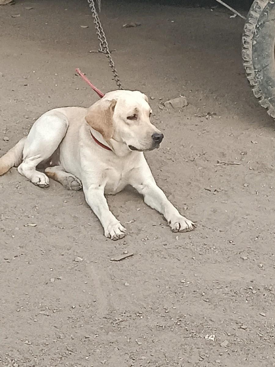 थंबनेल 2