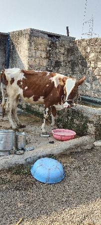 थंबनेल 2