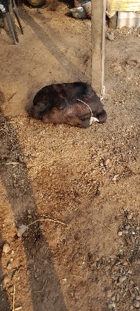 थंबनेल 2